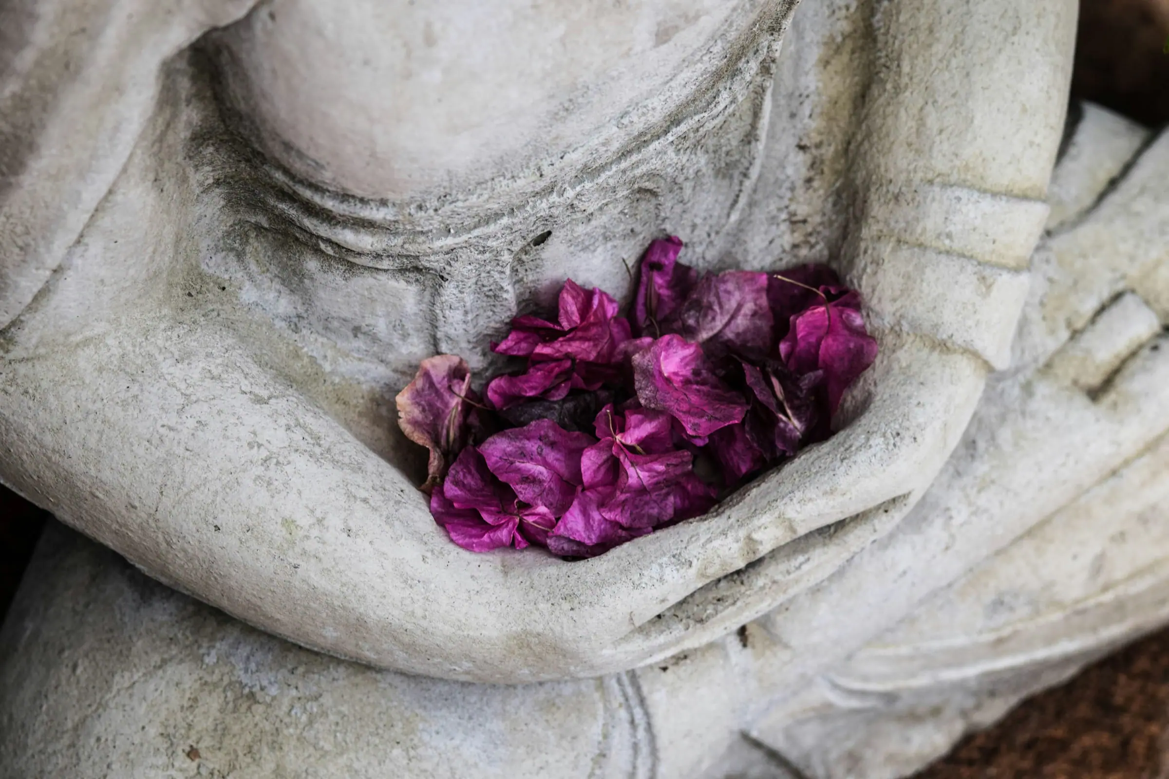 Rose petals beside a simple stone bowl in soft natural light
